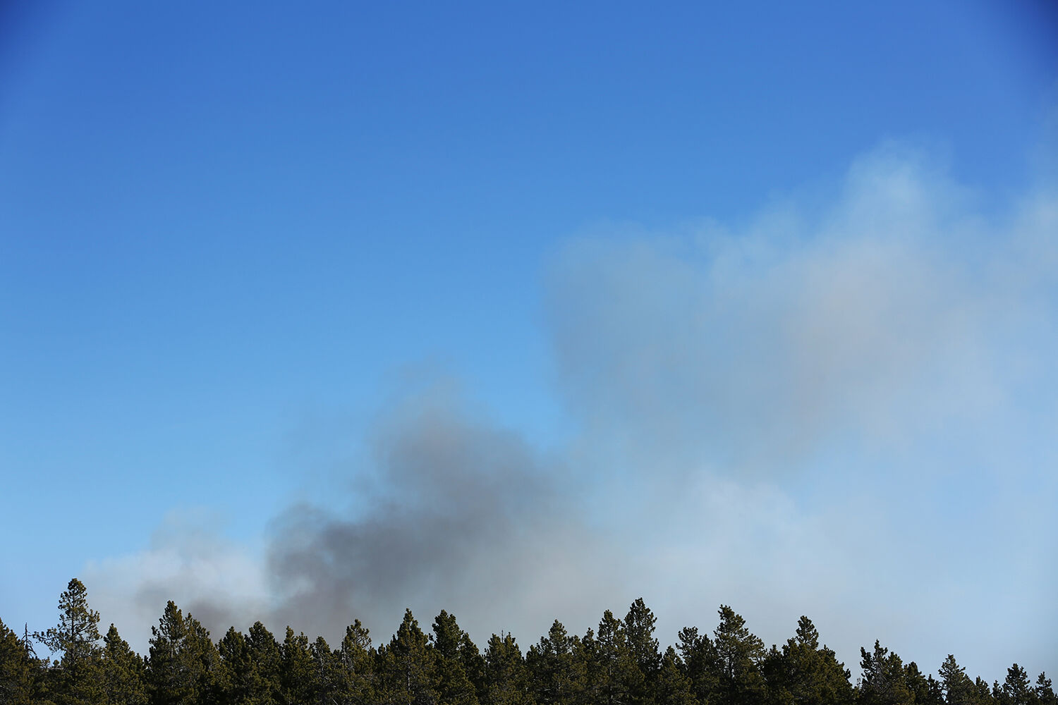 Smoke rose into the warm sky as a few trees caught fire